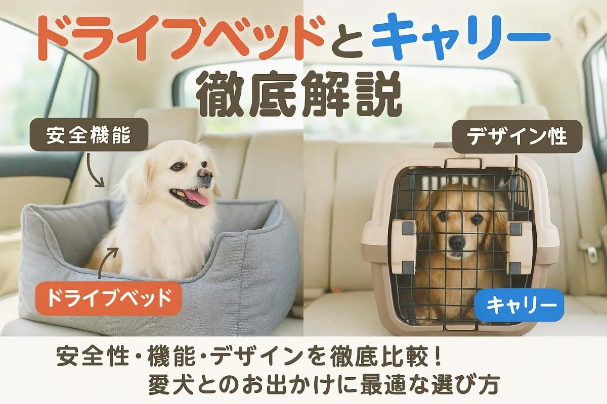 ドライブベッドとキャリーの基礎知識と選び方徹底解説｜安全機能とおしゃれデザインを比較