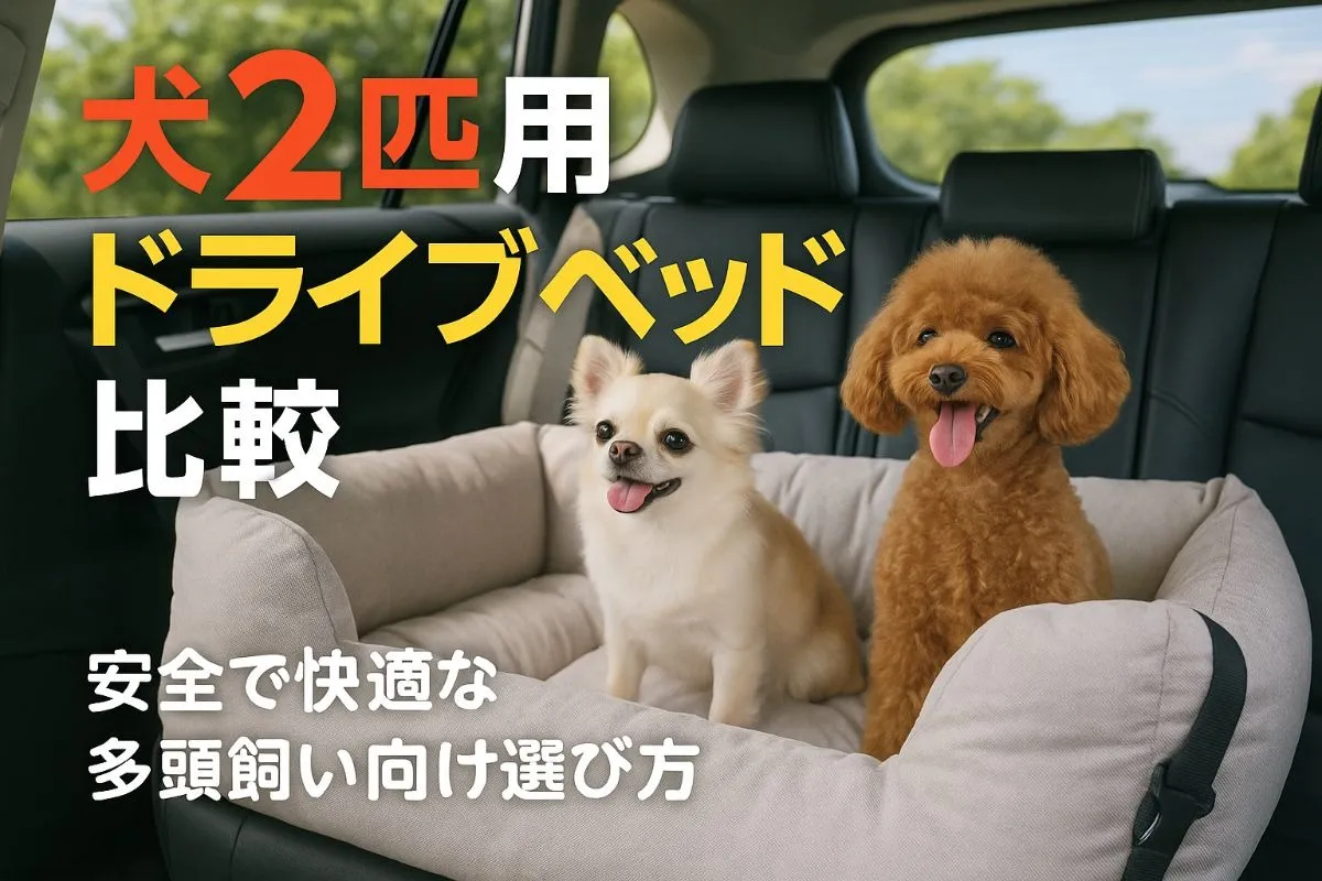 犬2匹用のドライブベッドおすすめ比較！安全で快適な多頭飼い向け選び方解説