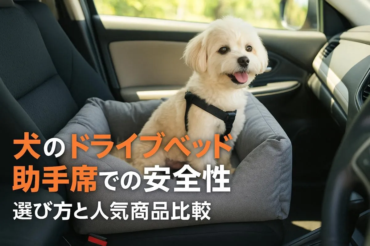 犬のドライブベッドを助手席で使う際の安全性と選び方｜人気商品比較と失敗しないポイント