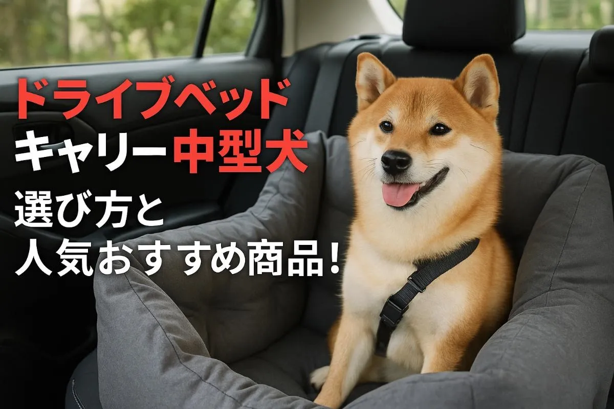 ドライブベッドキャリー中型犬の選び方と人気おすすめ商品！安全性や快適性を比較