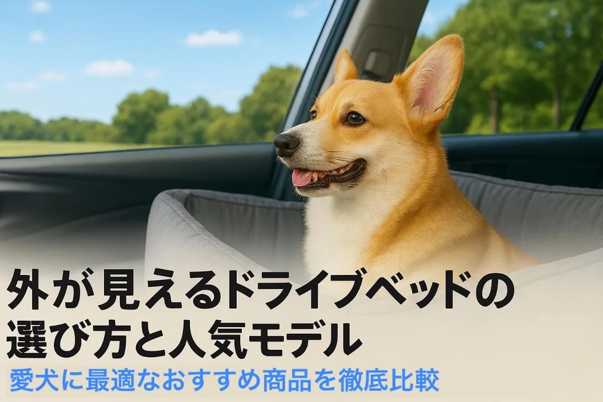 外が見えるドライブベッドの選び方と人気モデル｜愛犬に最適なおすすめ商品を徹底比較