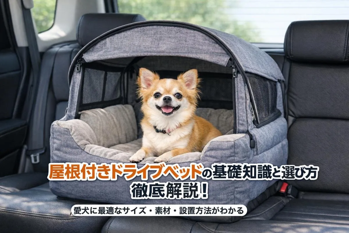 屋根付きドライブベッドの基礎知識と選び方徹底解説！愛犬に最適なサイズ・素材・設置方法がわかる