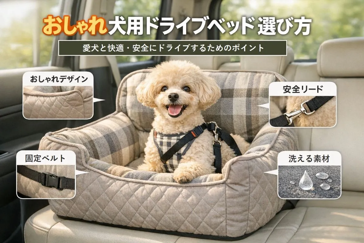 おしゃれな犬用ドライブベッドの選び方と安全対策を徹底解説