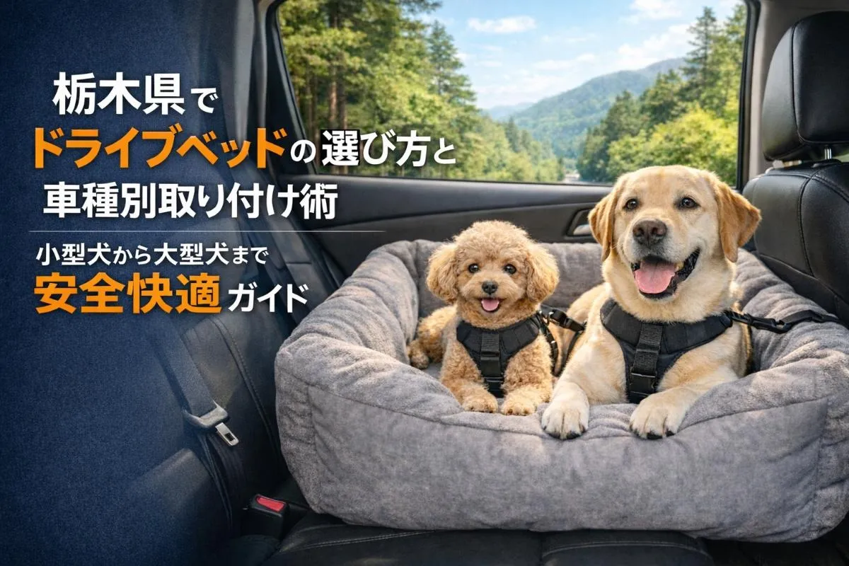 栃木県でドライブベッドの選び方と車種別取り付け術|小型犬から大型犬まで安全快適ガイド