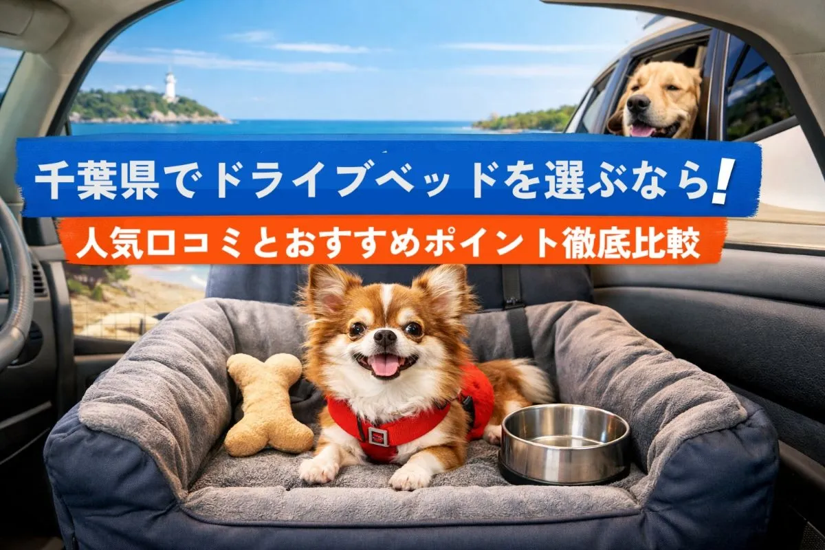 千葉県でドライブベッドを選ぶなら!人気口コミとおすすめポイント徹底比較